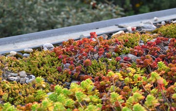 the cost of Tetworth green roof installation
