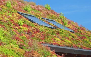 Tetworth living roof systems