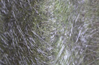 Tetworth fibreglass roof work